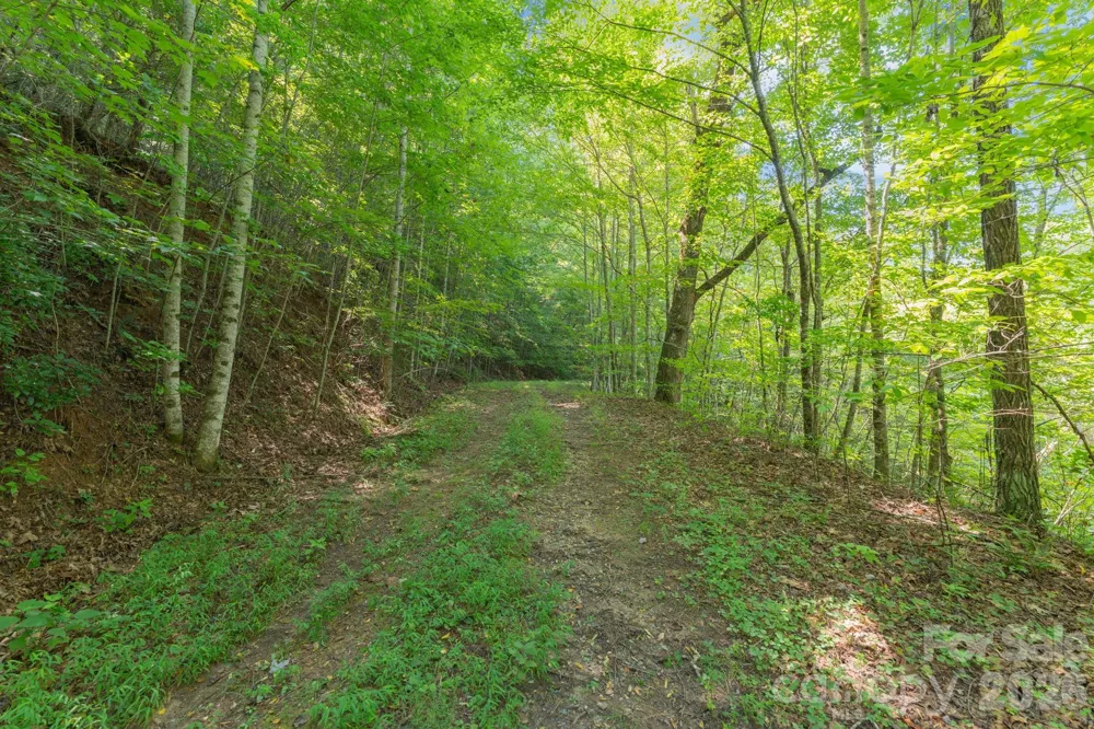 80 Breezewood Drive Bryson City, NC 28713