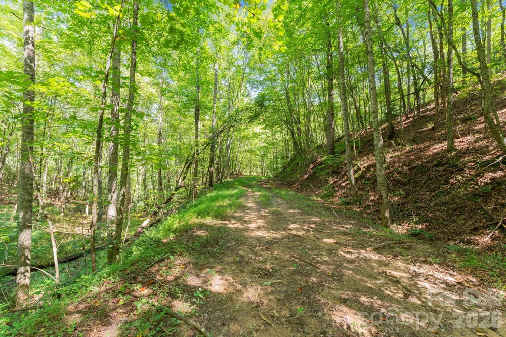 80 Breezewood Drive Bryson City, NC 28713