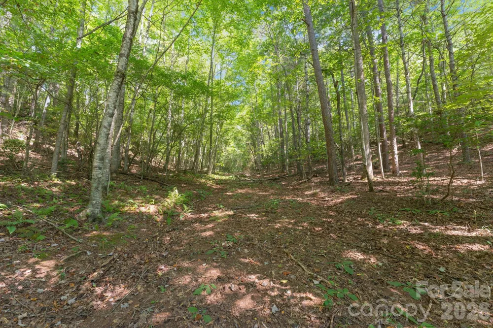 80 Breezewood Drive Bryson City, NC 28713