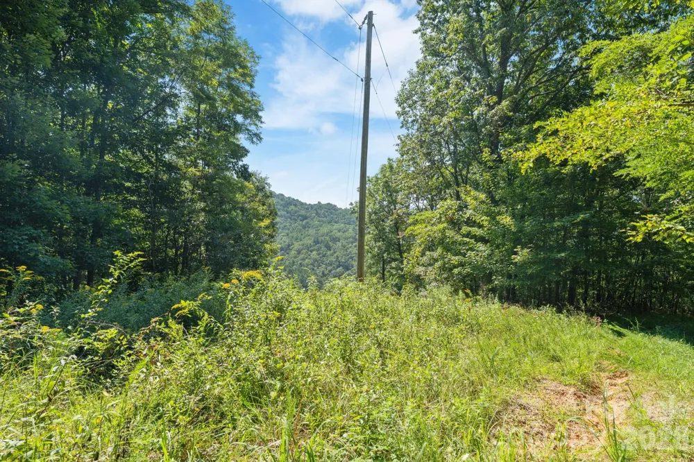 80 Breezewood Drive Bryson City, NC 28713