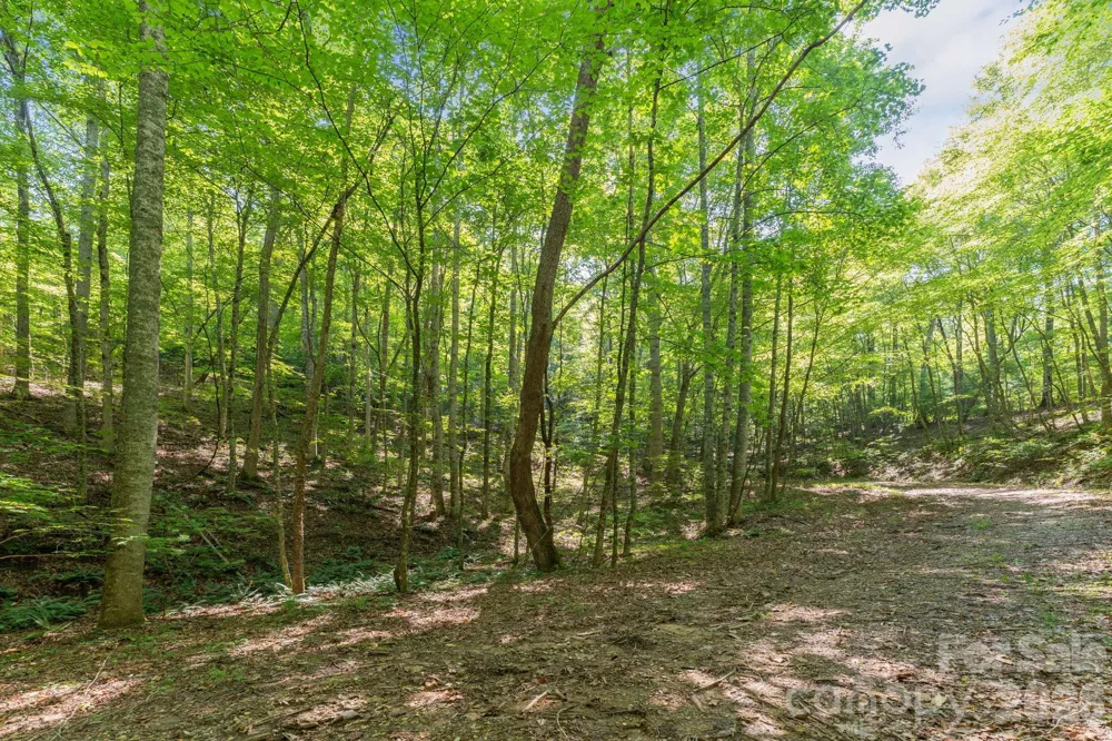 80 Breezewood Drive Bryson City, NC 28713