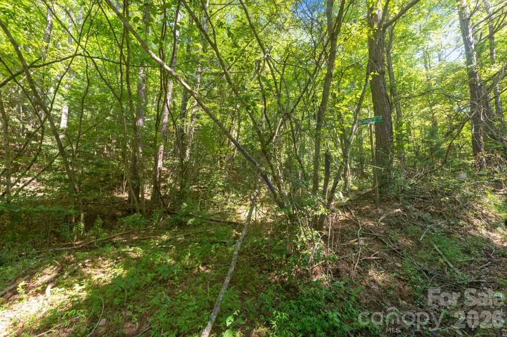 80 Breezewood Drive Bryson City, NC 28713