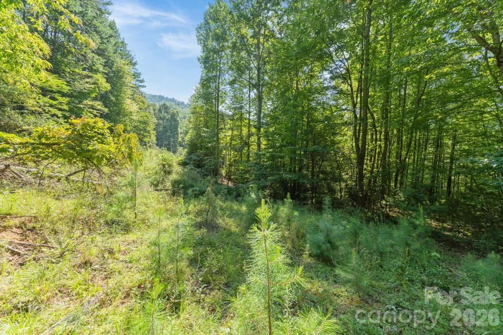 80 Breezewood Drive Bryson City, NC 28713