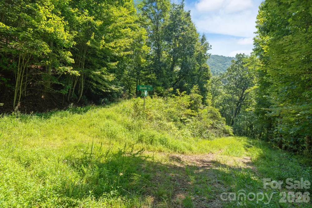 80 Breezewood Drive Bryson City, NC 28713