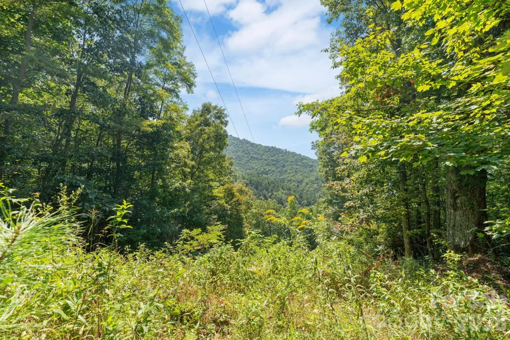 80 Breezewood Drive Bryson City, NC 28713