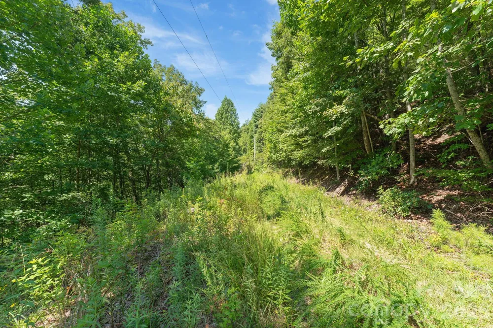 80 Breezewood Drive Bryson City, NC 28713