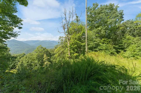 80 Breezewood Drive