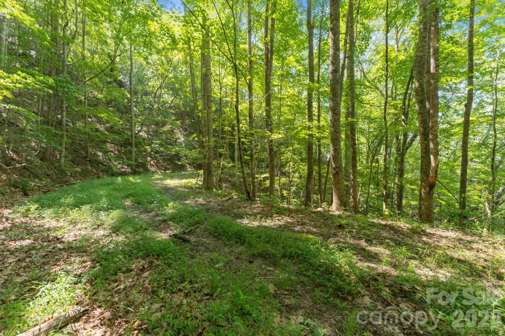 80 Breezewood Drive Bryson City, NC 28713
