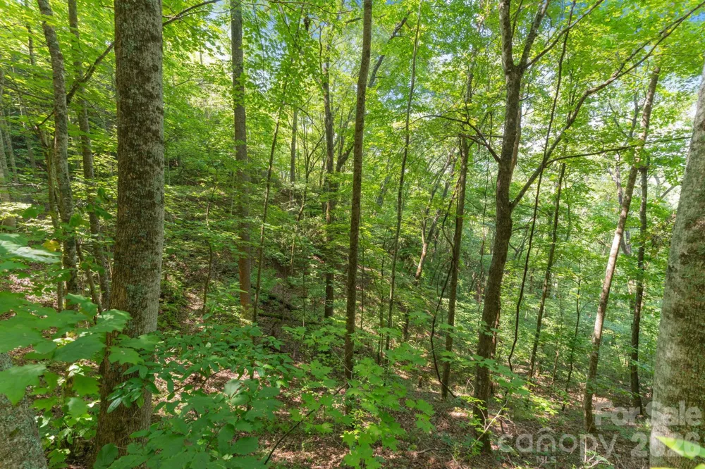 80 Breezewood Drive Bryson City, NC 28713