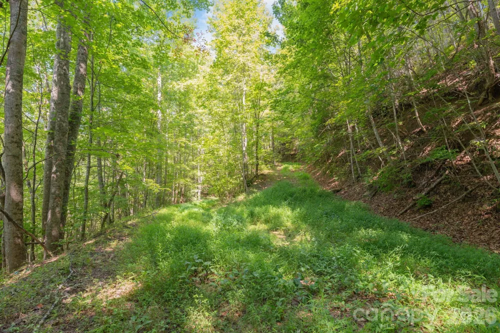 80 Breezewood Drive Bryson City, NC 28713