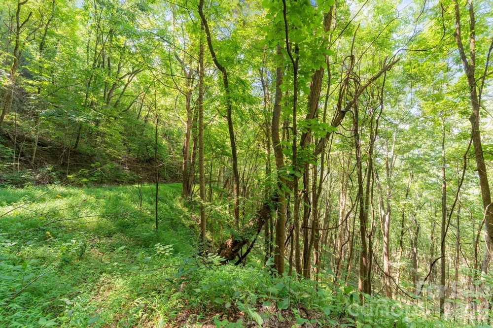 80 Breezewood Drive Bryson City, NC 28713