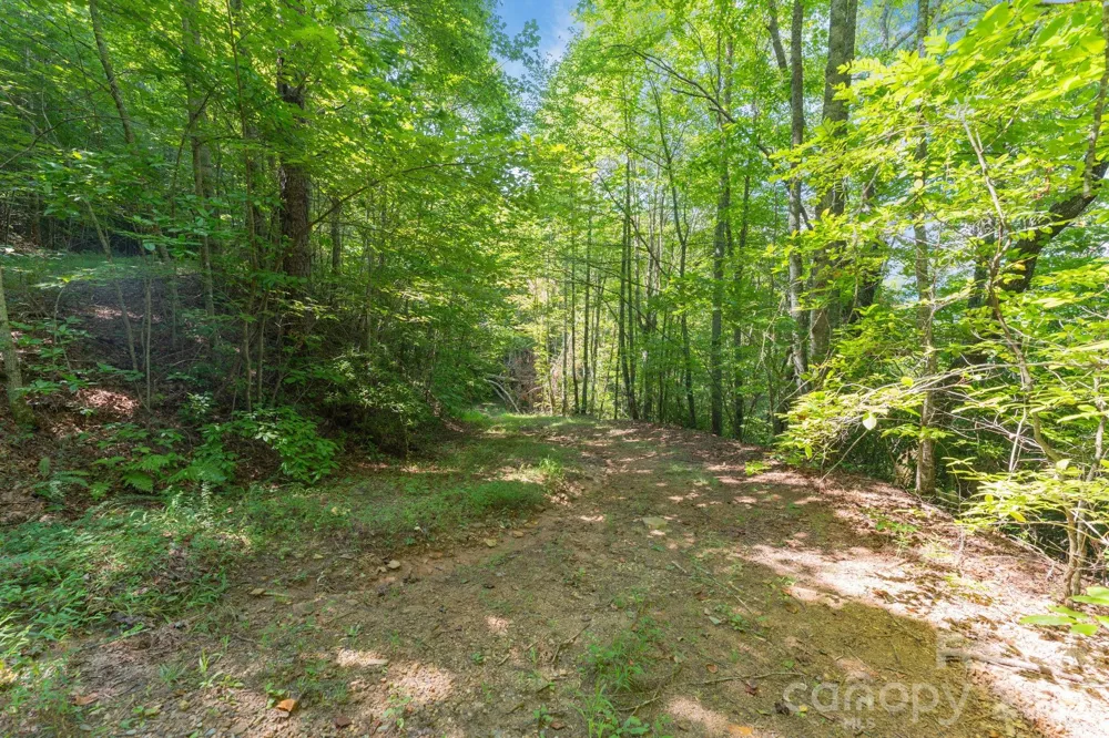 80 Breezewood Drive Bryson City, NC 28713