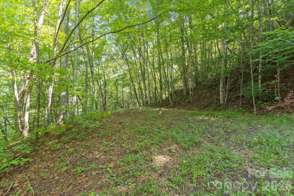 80 Breezewood Drive Bryson City, NC 28713