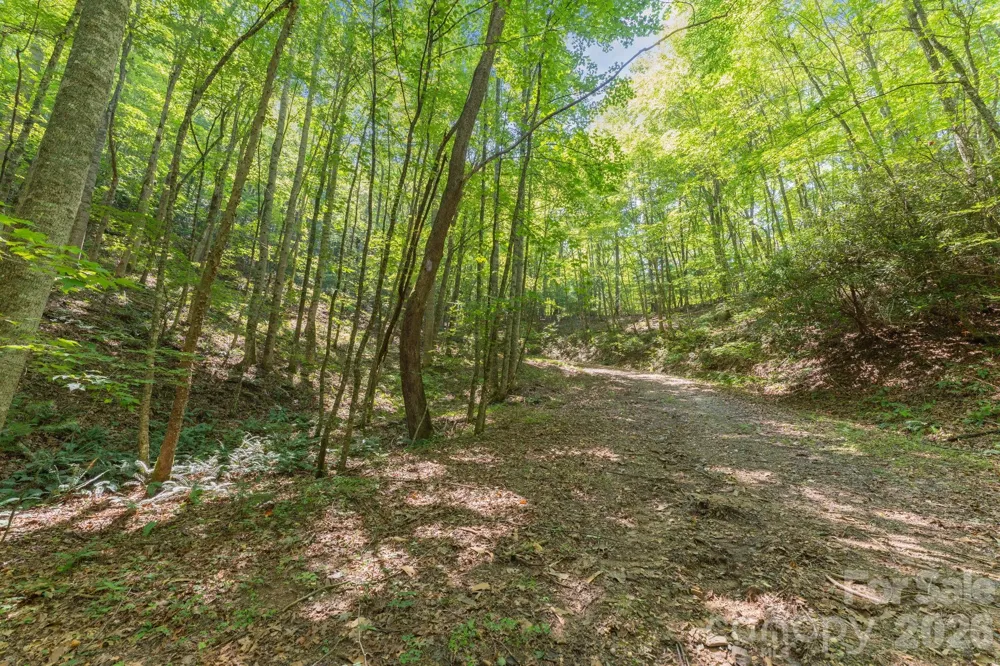 80 Breezewood Drive Bryson City, NC 28713