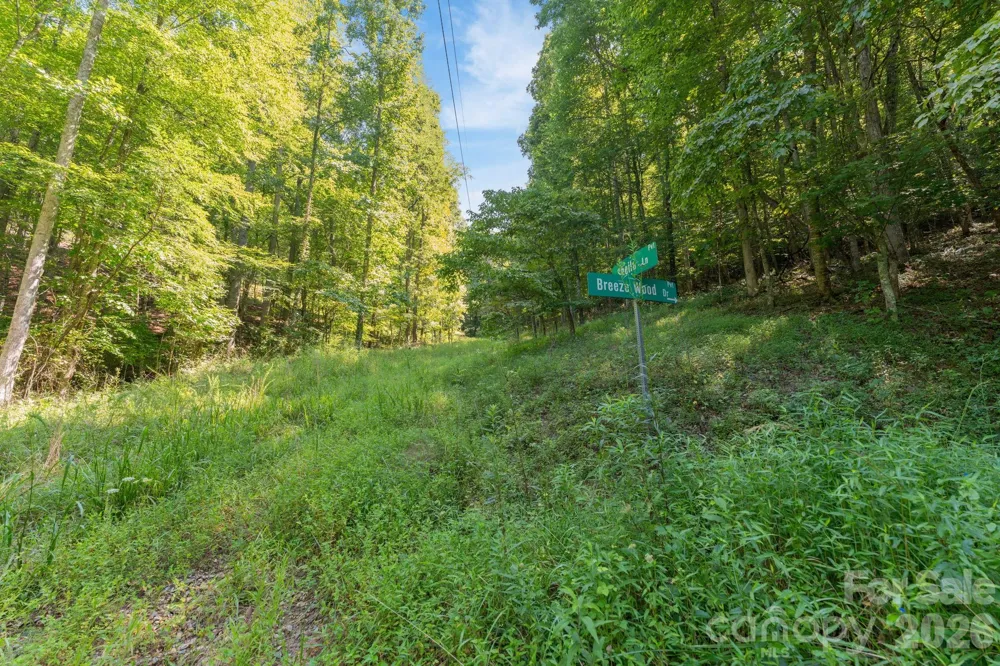 80 Breezewood Drive Bryson City, NC 28713