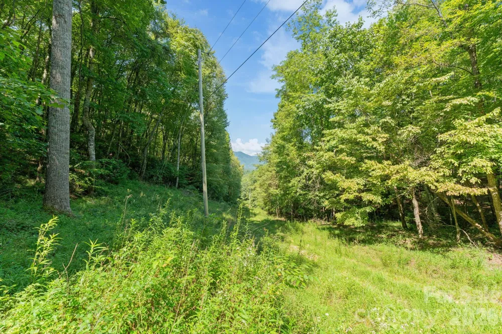 80 Breezewood Drive Bryson City, NC 28713