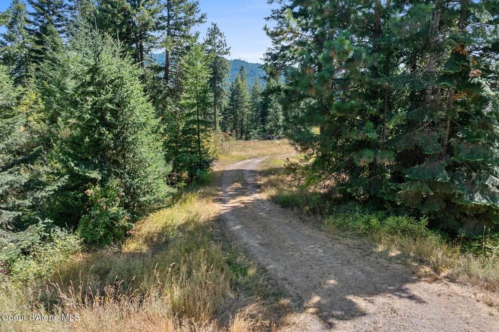 Lot 4 FSR 439 Harrison, ID 83833