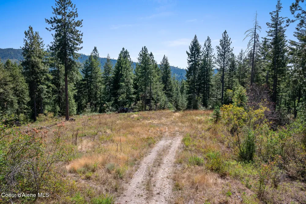 Lot 4 FSR 439 Harrison, ID 83833