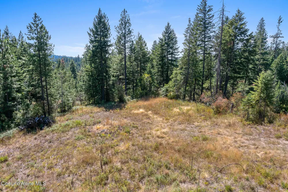 Lot 4 FSR 439 Harrison, ID 83833