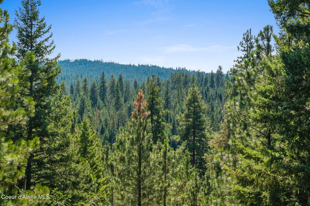 Lot 4 FSR 439 Harrison, ID 83833