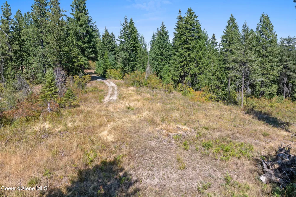 Lot 4 FSR 439 Harrison, ID 83833