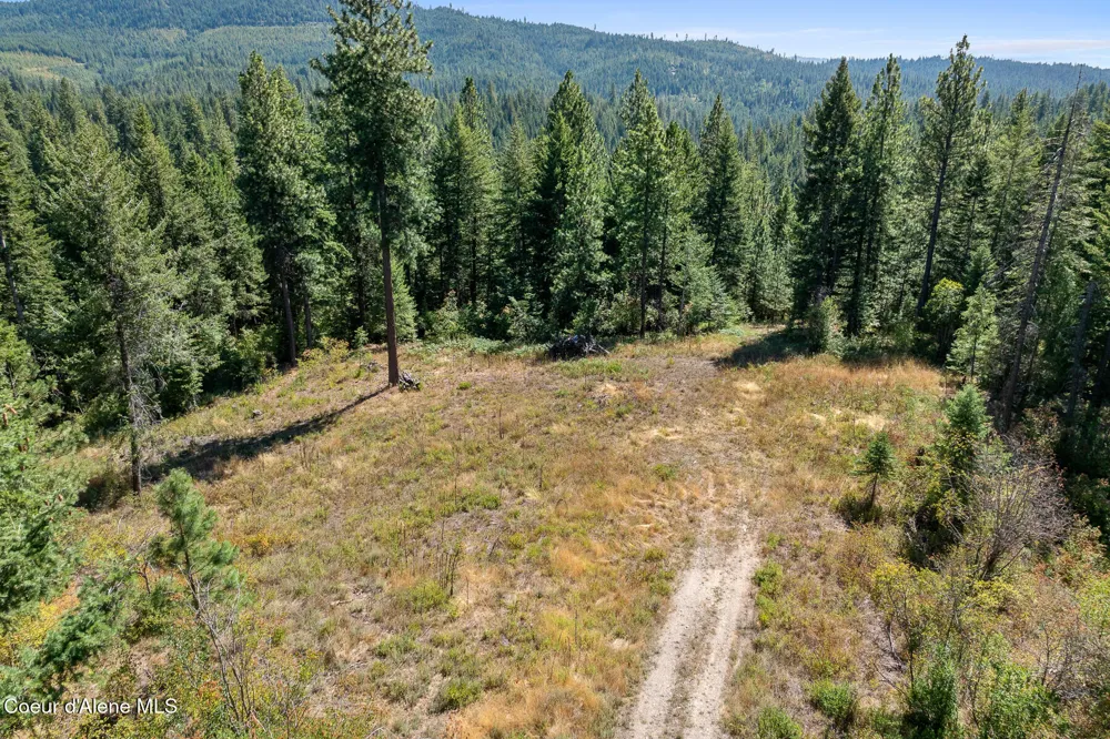 Lot 4 FSR 439 Harrison, ID 83833