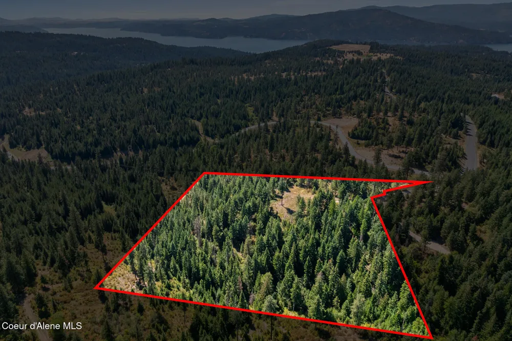Lot 4 FSR 439 Harrison, ID 83833