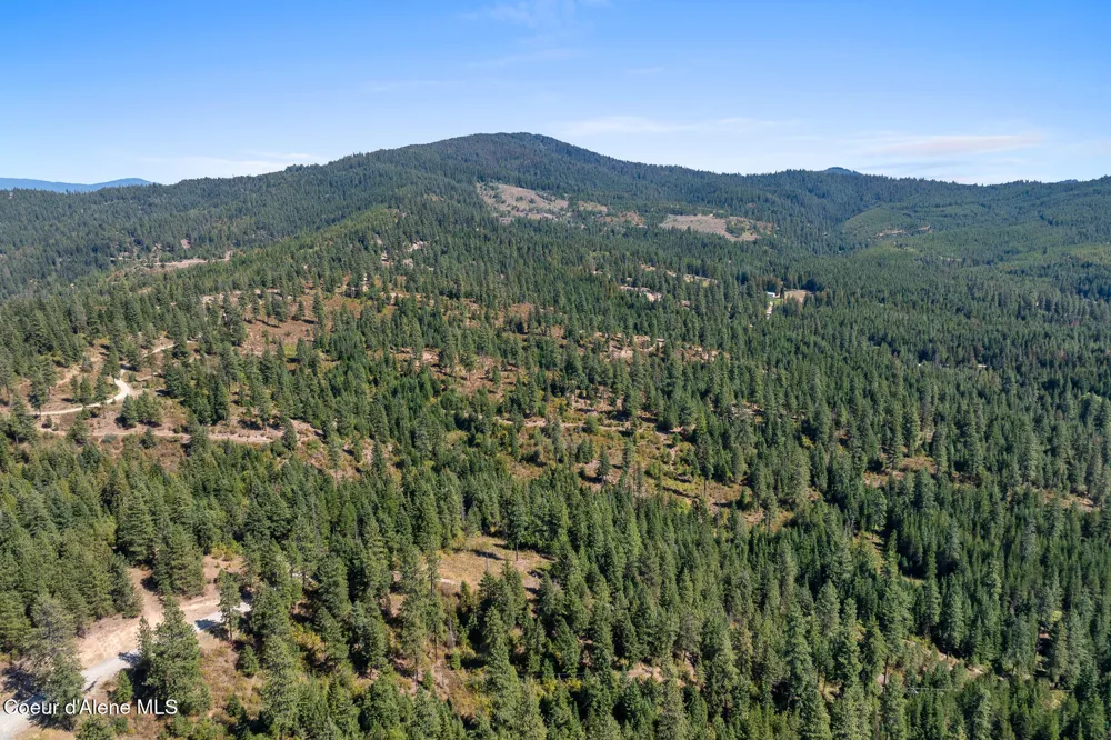 Lot 4 FSR 439 Harrison, ID 83833