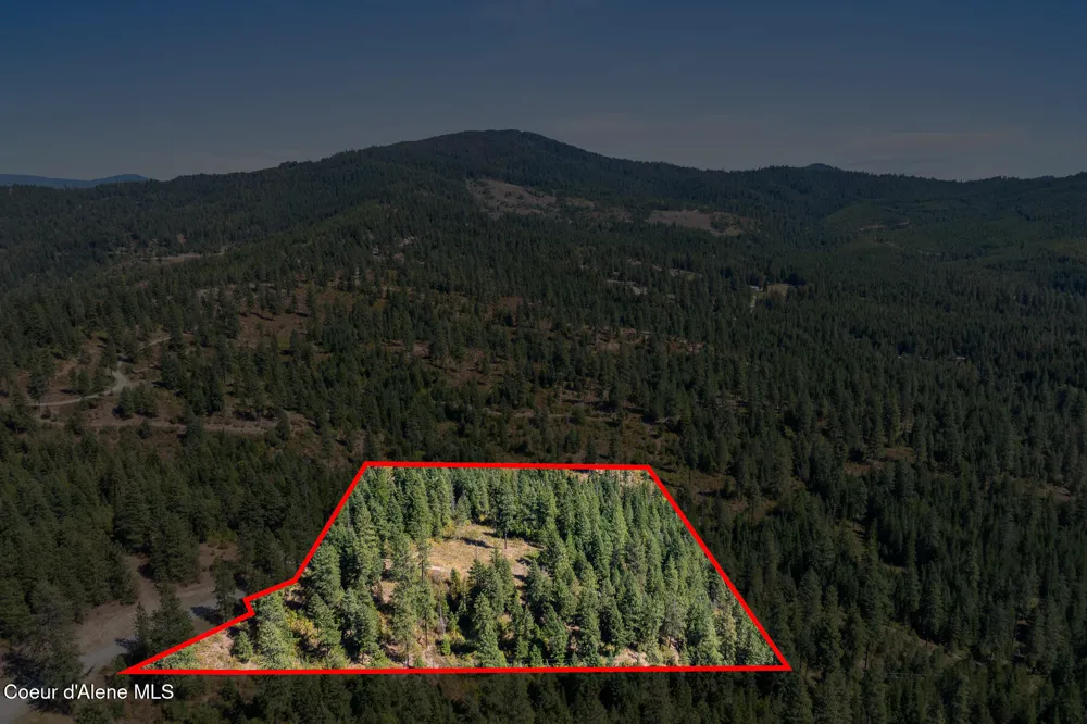 Lot 4 FSR 439 Harrison, ID 83833