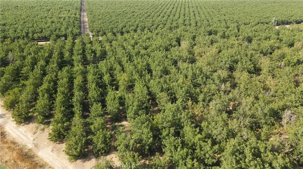 2507 S. Escalon Belotta Road Escalon, CA 95320
