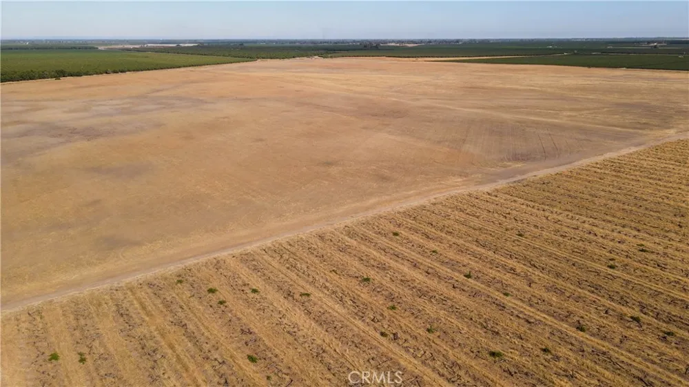 2507 S. Escalon Belotta Road Escalon, CA 95320