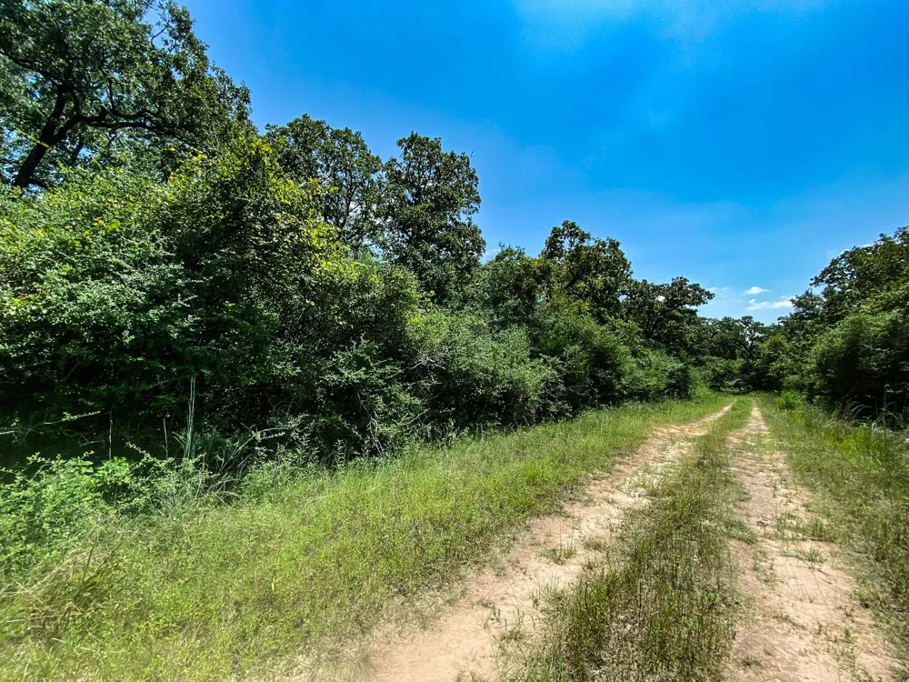 10 Ranch Road Dr Drive Normangee, TX 77871