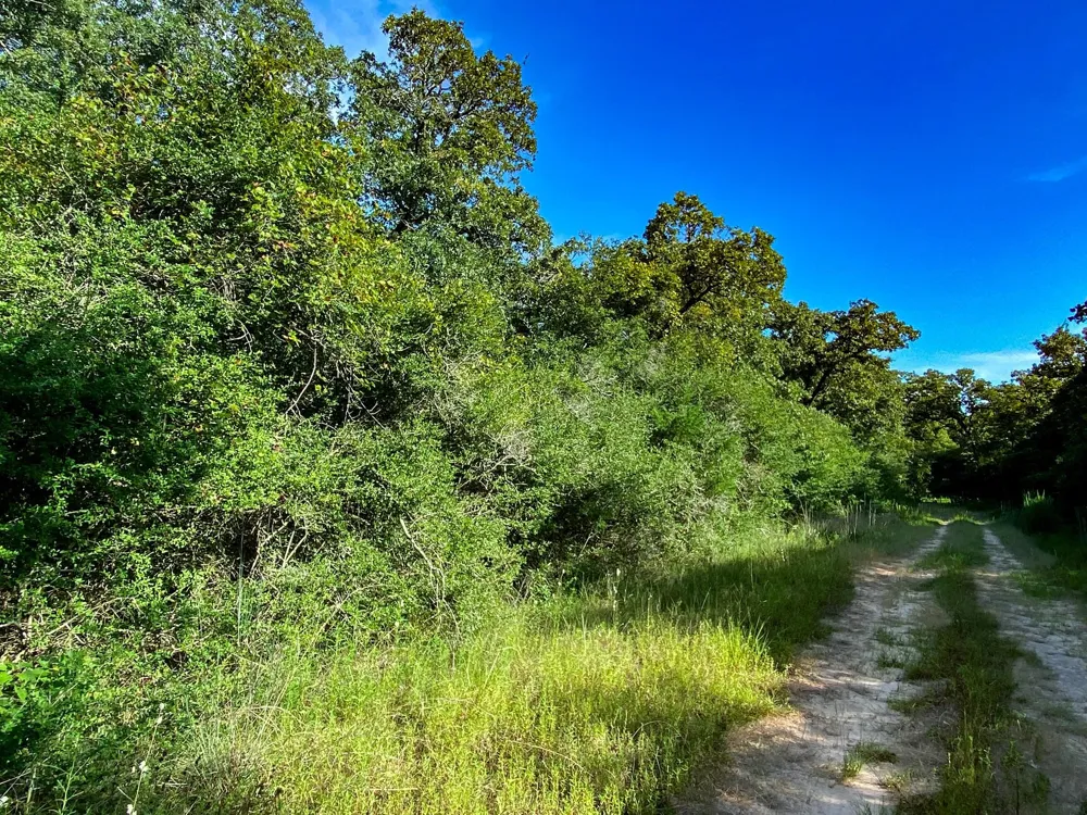 10 Ranch Road Dr Drive Normangee, TX 77871