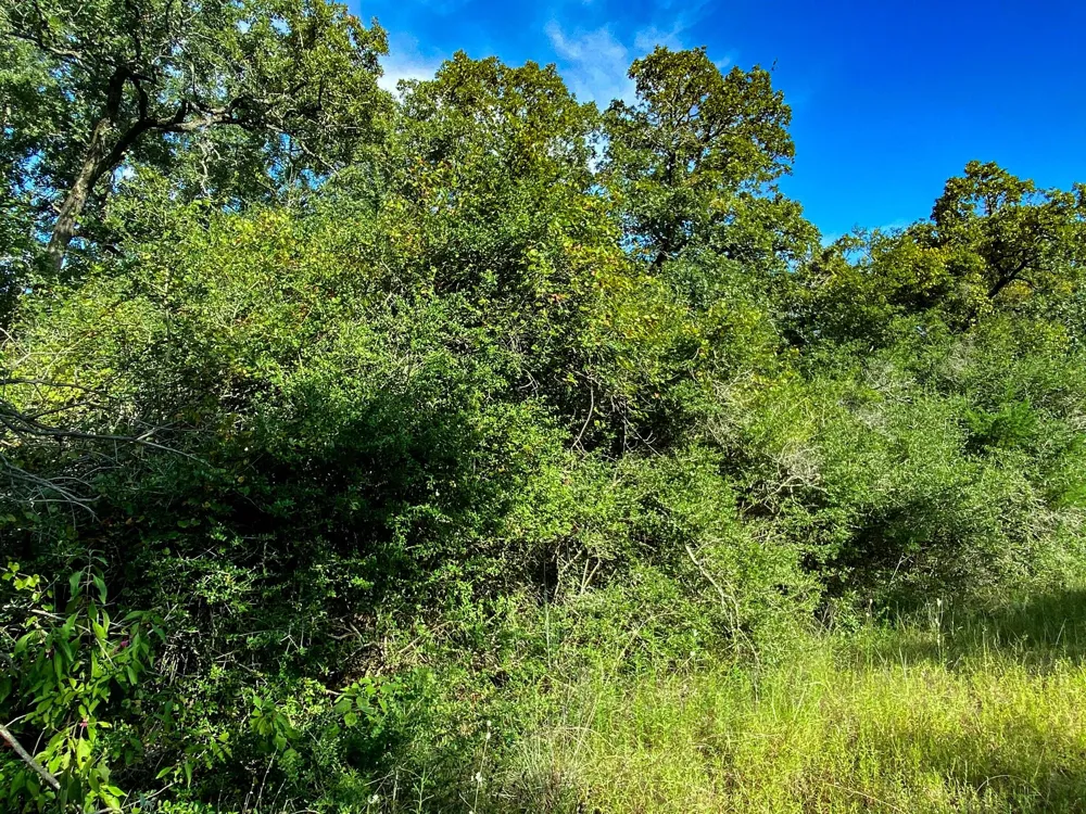 10 Ranch Road Dr Drive Normangee, TX 77871