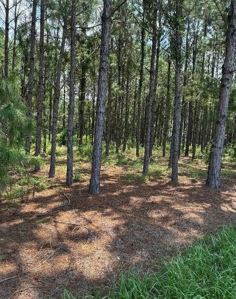 CR 227 ROAD Oxford, FL 34484
