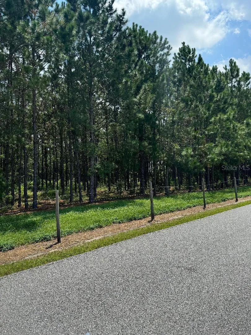 CR 227 ROAD Oxford, FL 34484