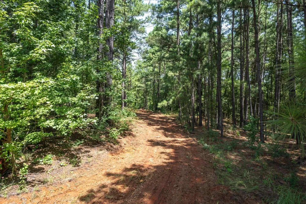 1249 County Road 4102 Jacksonville, TX 75766
