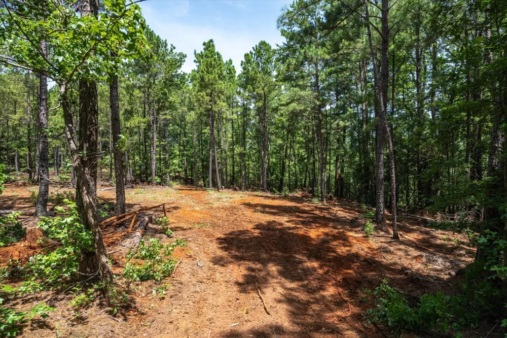 1249 County Road 4102 Jacksonville, TX 75766