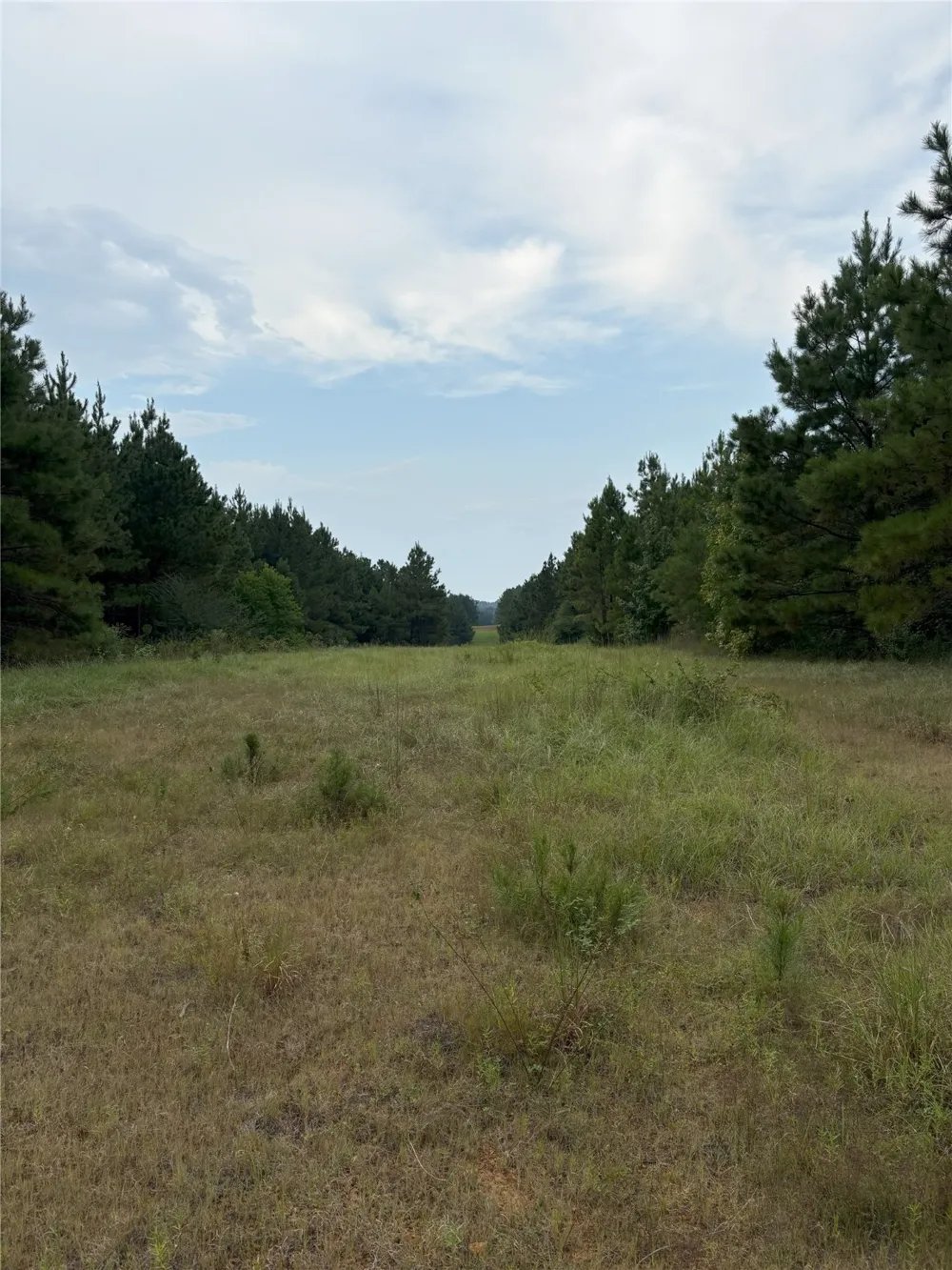 1388 County Road 1060 Center, TX 75935