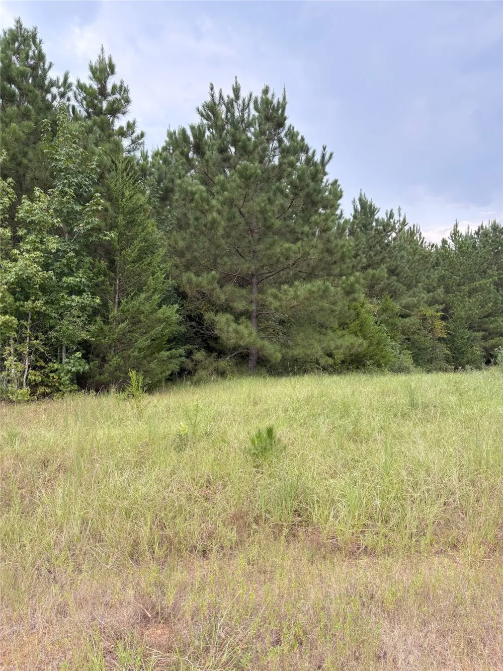 1388 County Road 1060 Center, TX 75935