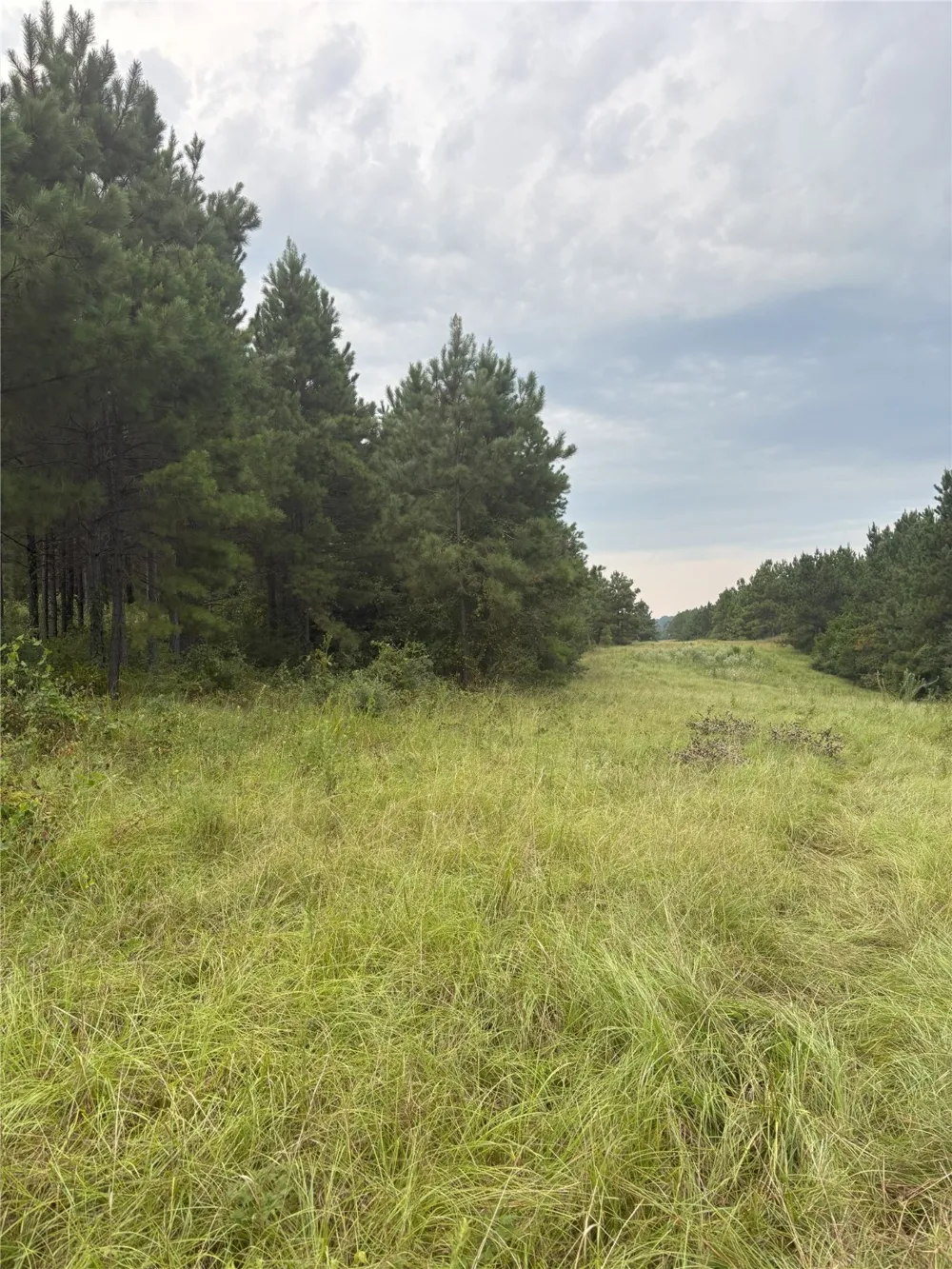 1388 County Road 1060 Center, TX 75935