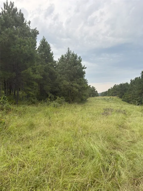 1388 County Road 1060