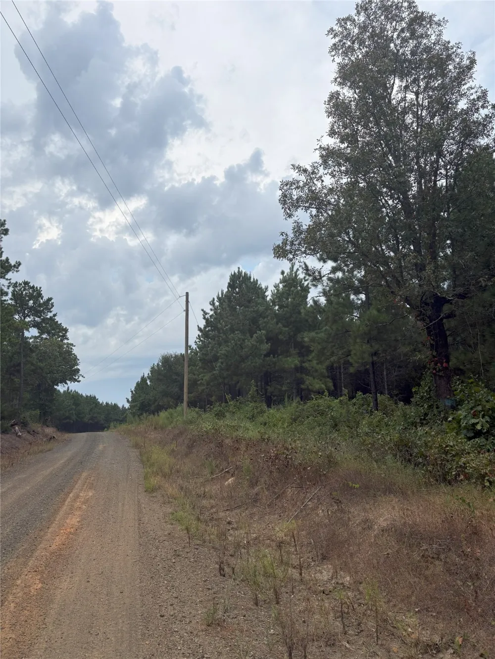 1388 County Road 1060 Center, TX 75935