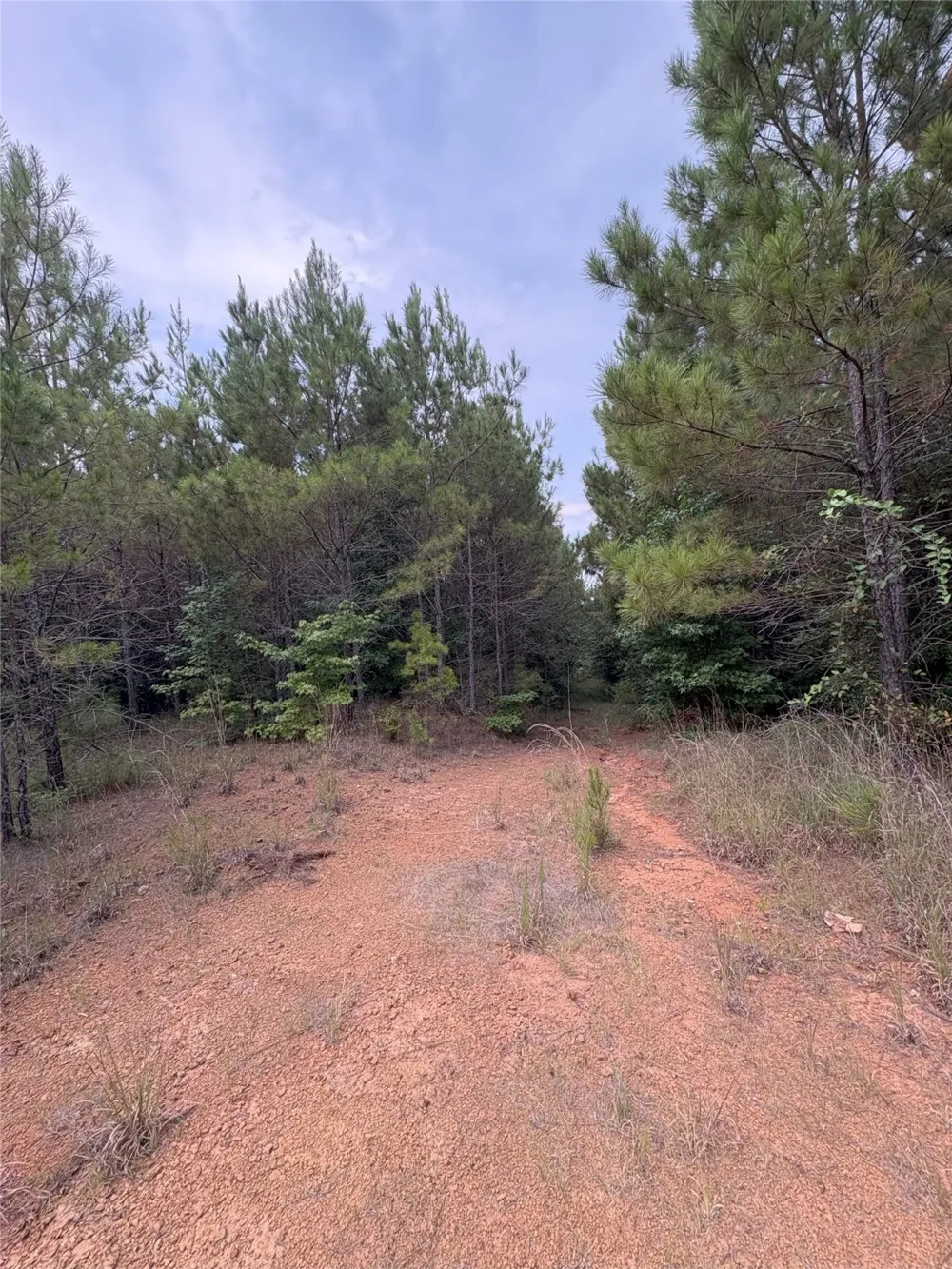 1388 County Road 1060 Center, TX 75935