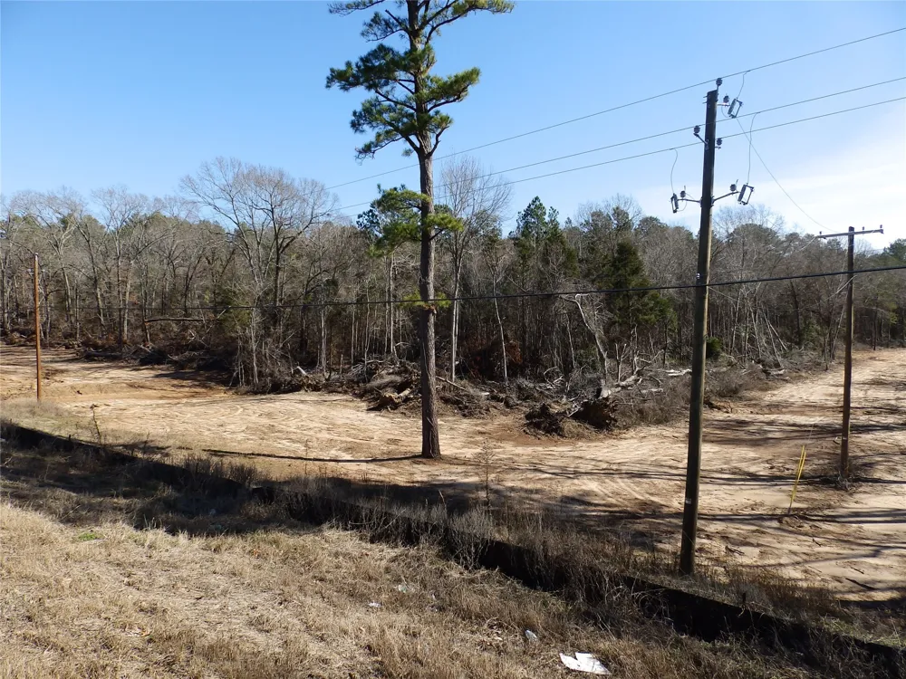 20175 S Hwy 155 LOT E1 Flint, TX 75762