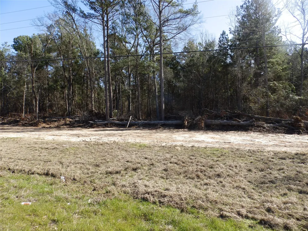 20175 S Hwy 155 LOT E1 Flint, TX 75762
