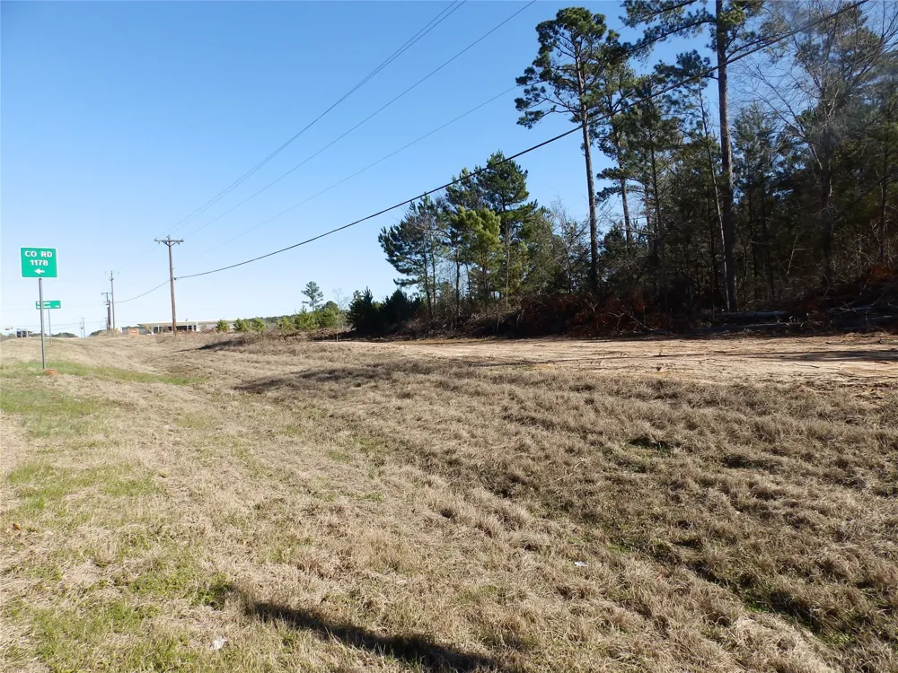 20175 S Hwy 155 LOT E1 Flint, TX 75762