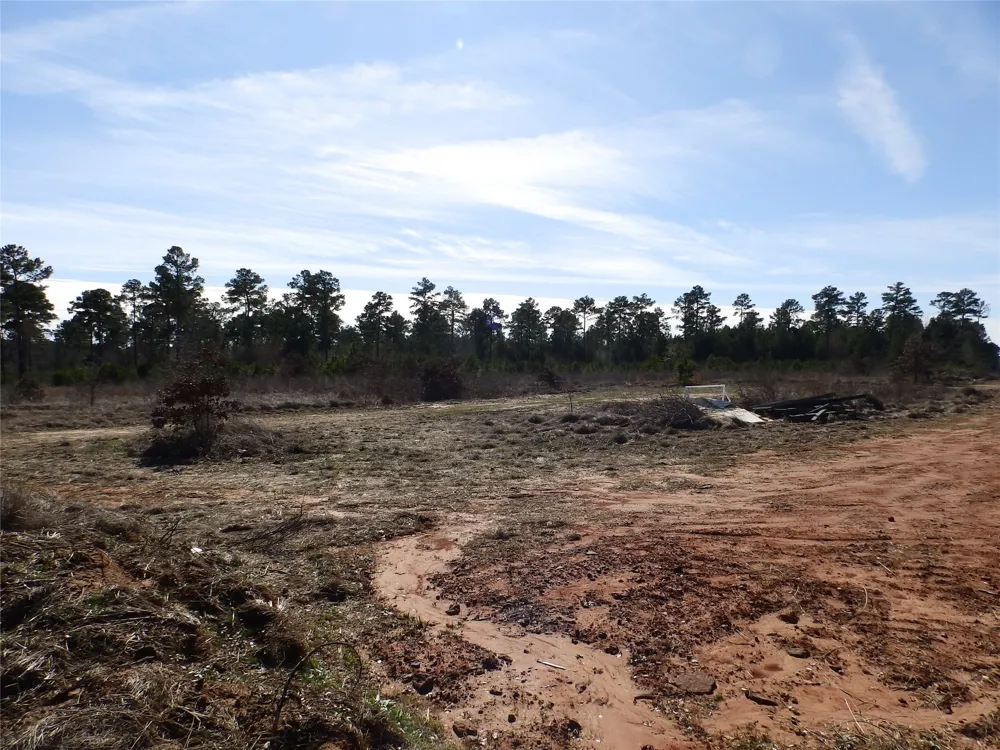 20175 S Hwy 155 LOT E1 Flint, TX 75762