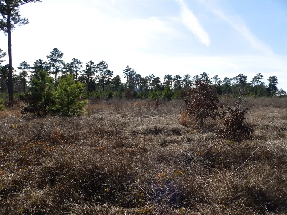 20175 S Hwy 155 LOT E1 Flint, TX 75762