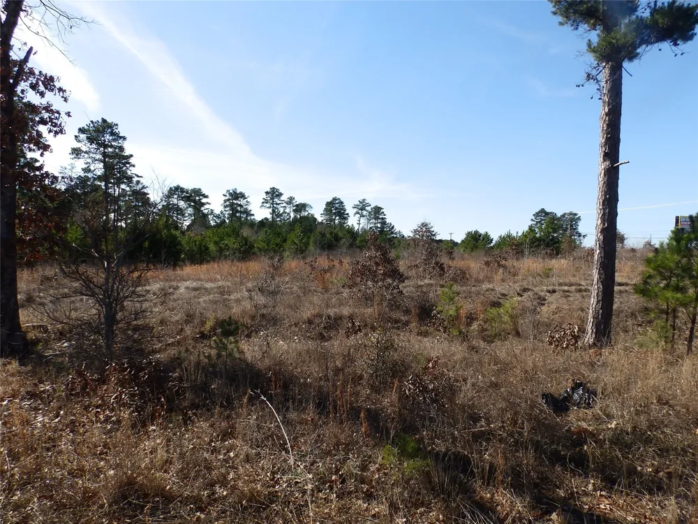 20175 S Hwy 155 LOT E1 Flint, TX 75762